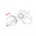 CNC Racing Titanium Screw kit for Ducati Dry clutch covers